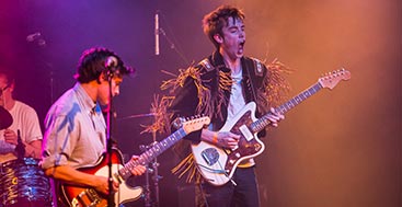 Hippo Image Dispayer