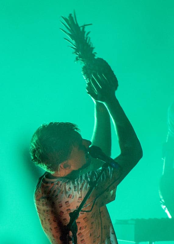 Glass Animals Pineapple