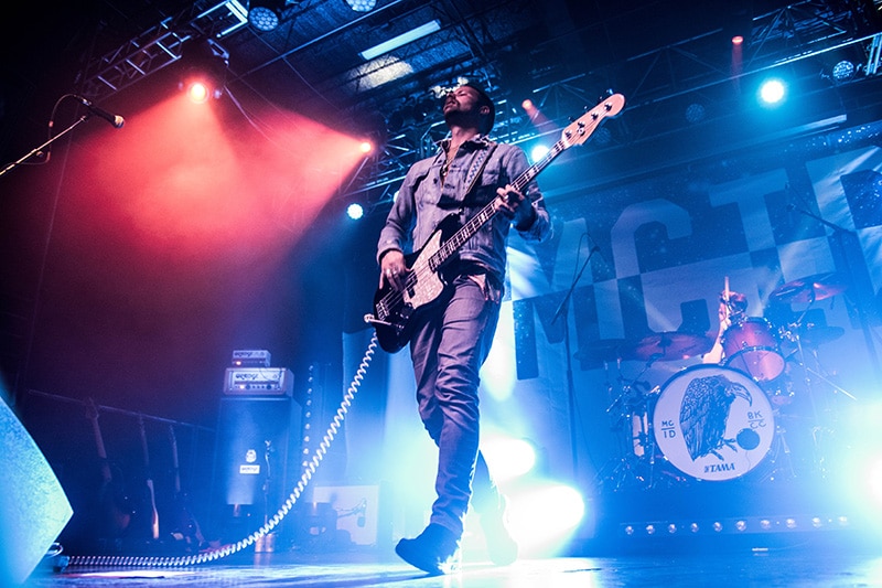 highly suspect 3