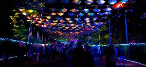 EF2