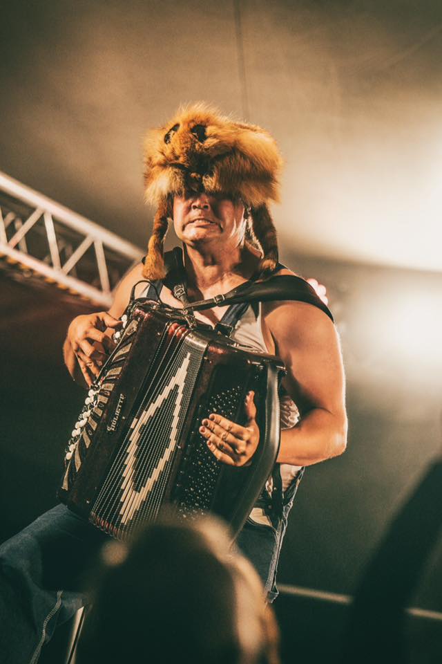 Steve 'n' Seagulls