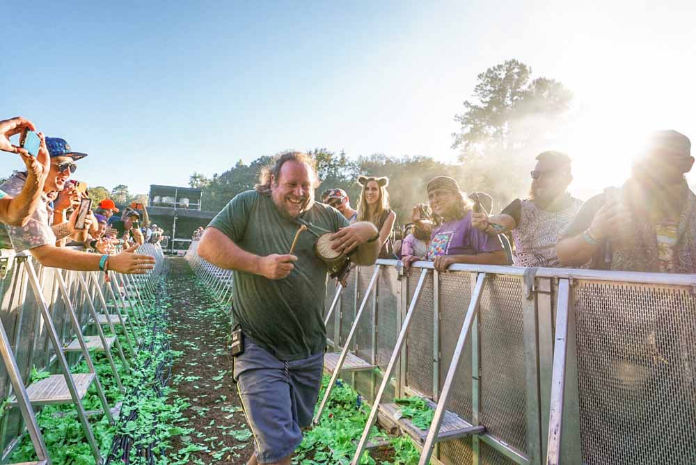 The String Cheese Incident by Mandi Nurph The String Cheese Incident by Mandi Nurph