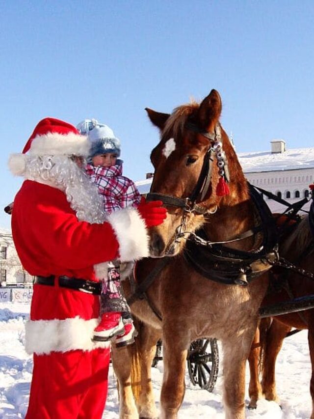 cropped-DSC07069_Santa_Claus_in_Sanok_2010.jpg