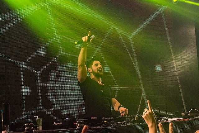 dj alok's net worth