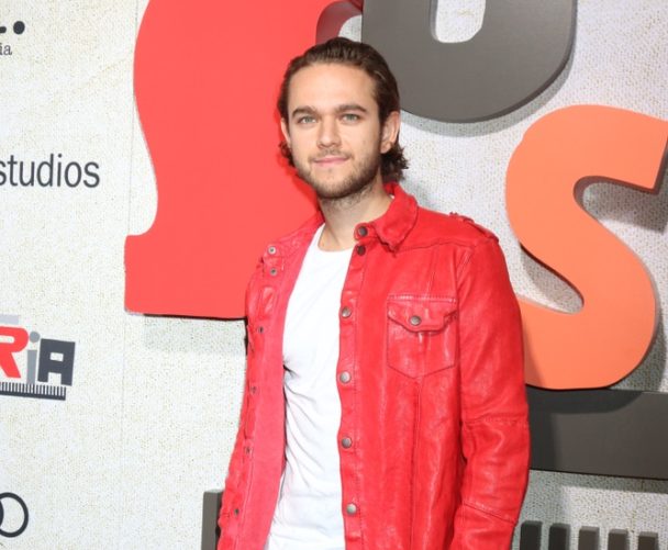 17 Cool Facts About Zedd: His Childhood, Music History, and More