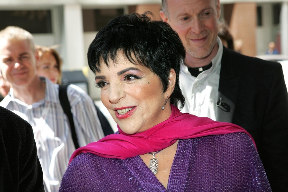 liza minnelli's net worth liza minnelli's net worth